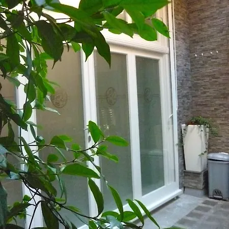 Dolci Sogni